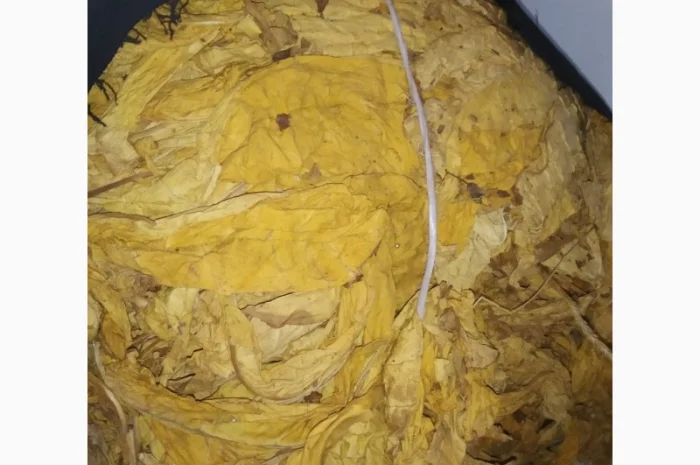 Продам табак для трубки- фото № 2