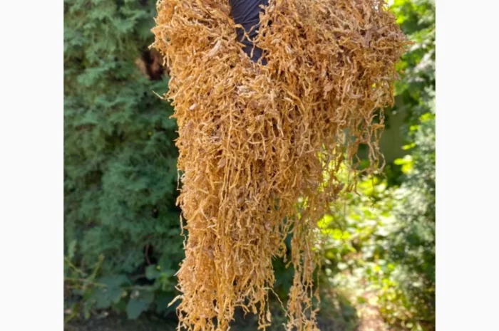 Добрый день!!! Хотим предложить Вам только первосортный табак- фото № 2