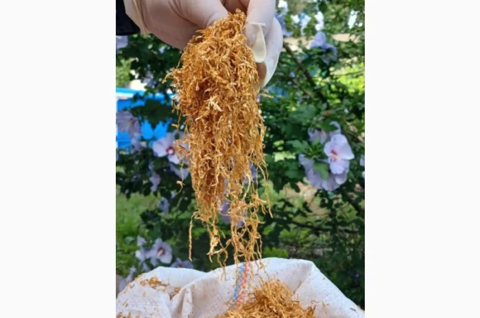 Табак для самокруток !!!Идеальное качество///много сортов Импорт, Запорожье- фото № 2