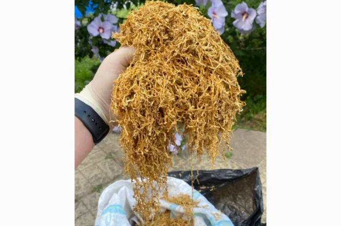 Табак для самокруток !!!Идеальное качество///много сортов Импорт, Запорожье- фото № 6