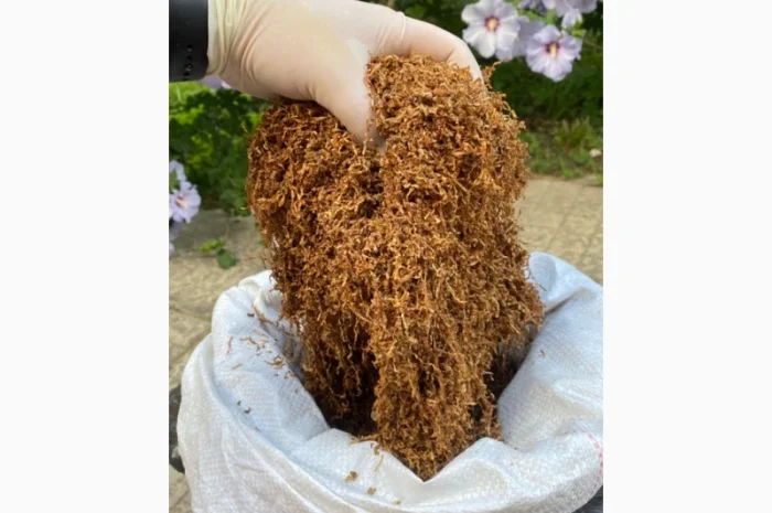 Табак для самокруток !!!Идеальное качество///много сортов Импорт, Запорожье- фото № 8