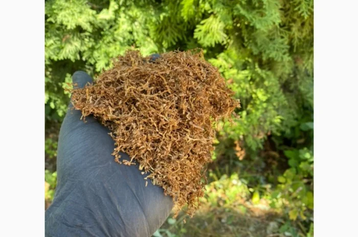 Тільки першосортний тютюн. Нарізка 06-08 мм- фото № 2