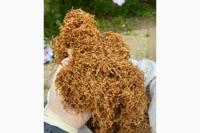 Широкий ассортимент фабричных табаков для сигарет 1 кг: CAMEL, Marlboro, Winston…- фото № 1