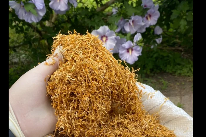 Широкий ассортимент фабричных табаков для сигарет 1 кг: CAMEL, Marlboro, Winston…- фото № 5