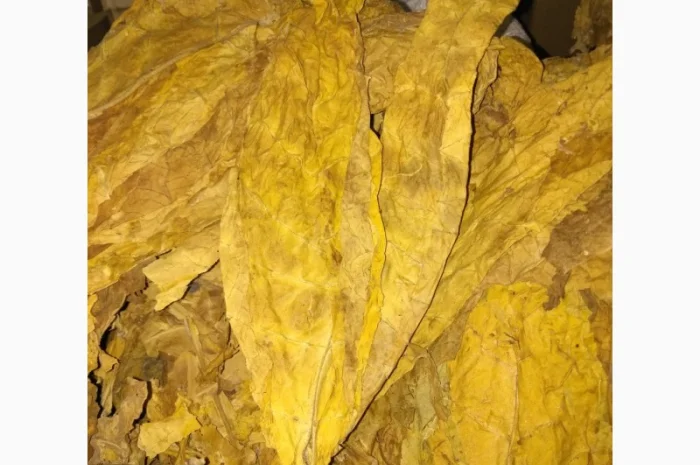 Продам импортный табак (Болгария, Турция) — опт и розница- фото № 7