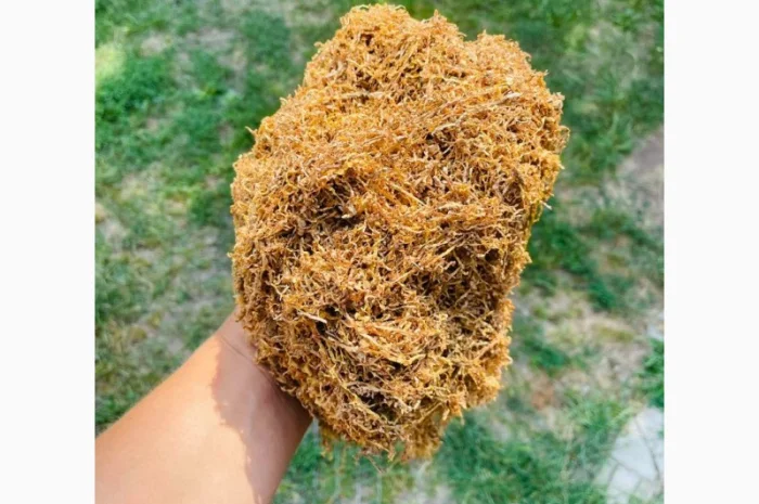 Продам импортный табак (Болгария, Турция) — опт и розница- фото № 10