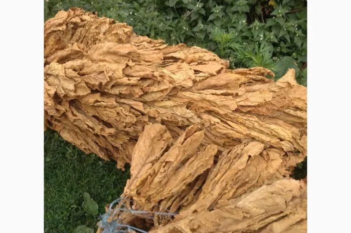 Продам крепкий табак  для  самокруток Венгерский, Берли ( Импорт)- фото № 1