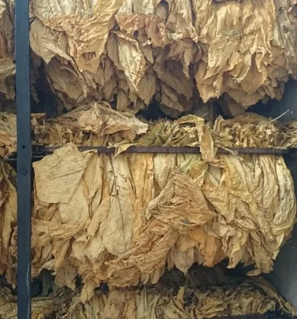 Продам импортный табак  для  сигарет 1 кг, оптом Вирджиния Голд- фото № 4