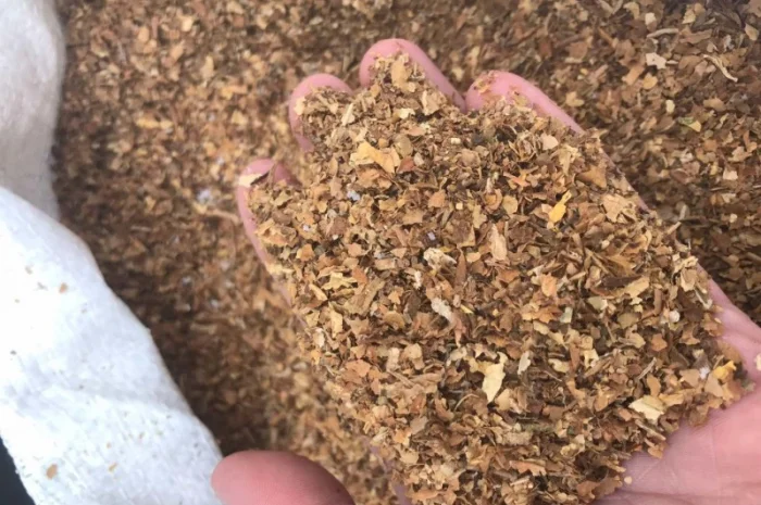 Продам фабричный табак для сигарет 1 кг,  Bond 390 грн за кг- фото № 4