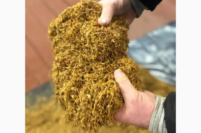 Продам импортный табак. Высокого качества- фото № 1