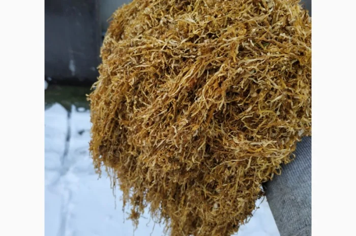 Продам импортный табак VIRGINIA GOLD для сигарет 1 кг- фото № 5