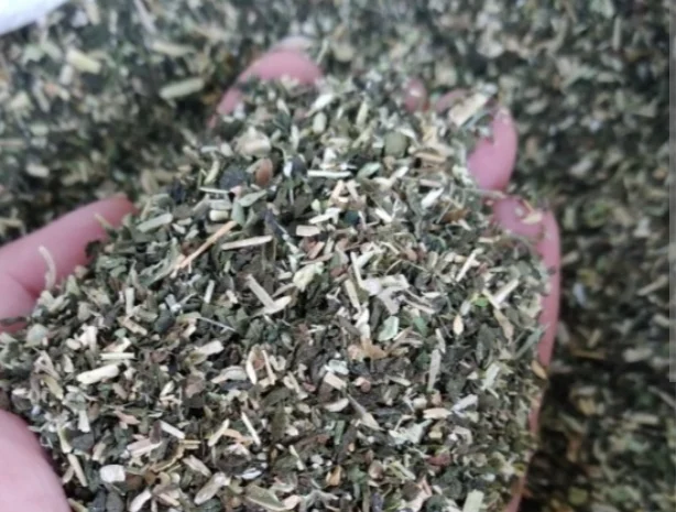 Продам Самосад/ Махорка- фото № 1