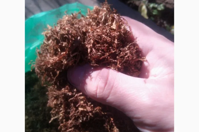 Продам тютюн для самокруток- фото № 2