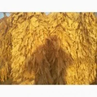 Табак импорт для трубки . Разные сорта- фото № 5