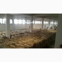 Імпортний сортовий тютюн оптом та від 1 кг (Індія, Туреччина, Іран)- фото № 3