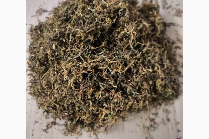 Продаж якісного тютюна, для сигарет 1 кг ,  опт- фото № 4