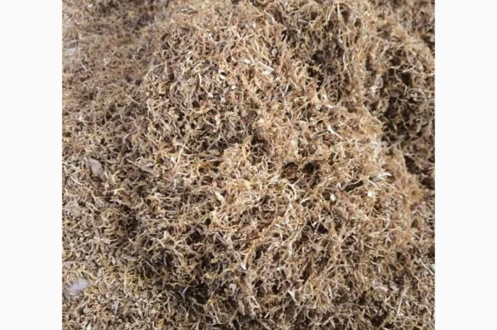 Продаж якісного тютюна качество хороше , для сигарет 1 кг , опт- фото № 3