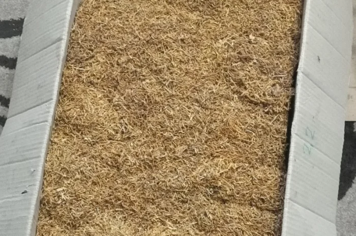 Продам тютюн для трубкі- фото № 1