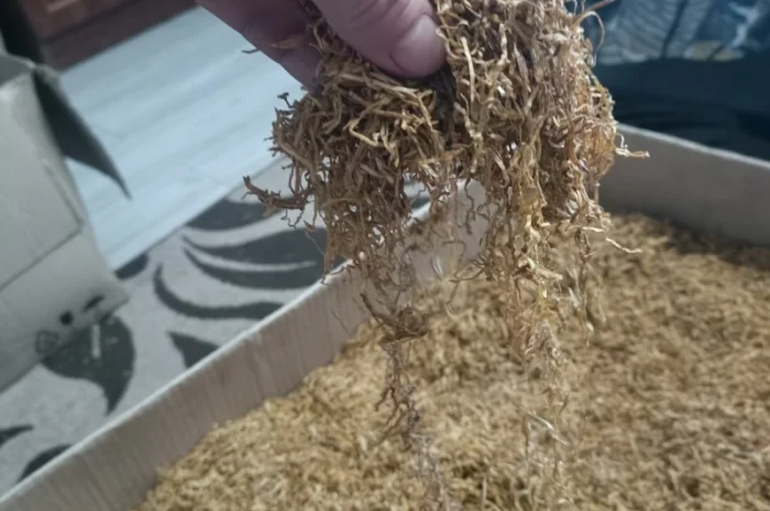 Продам тютюн для трубкі- фото № 2