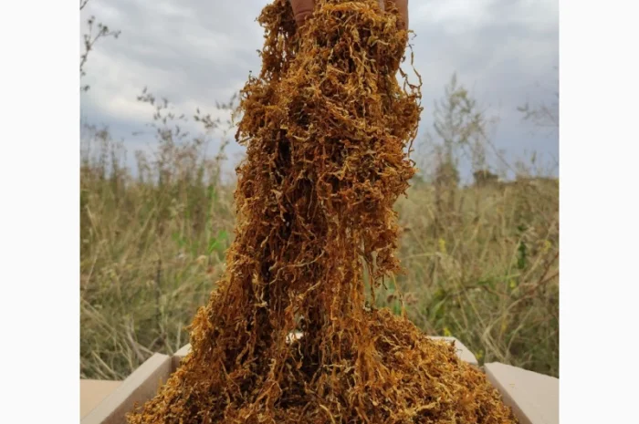 Продам табак для сигарет 1 кг , только оптом 280 грн кг- фото № 1