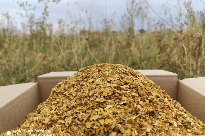 Продам табак для сигарет 1 кг , только оптом 280 грн кг- фото № 4