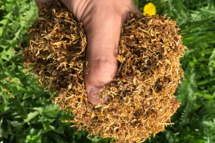 Продам табак Вірджінія, Берлі для самокруток 1 кг- фото № 1