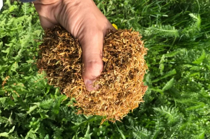 Продам табак Вірджінія, Берлі для самокруток 1 кг- фото № 5