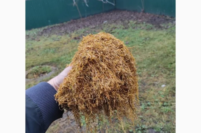 Продам табак  для сигарет 1 кг, в розницу и оптом 310- фото № 7