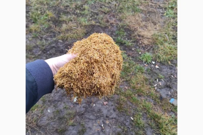 Продам табак  для сигарет 1 кг, в розницу и оптом 310- фото № 4