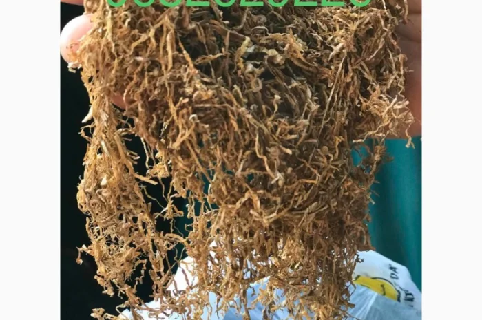 Продам табак для самокруток  Вирджиния средней крепости- фото № 4