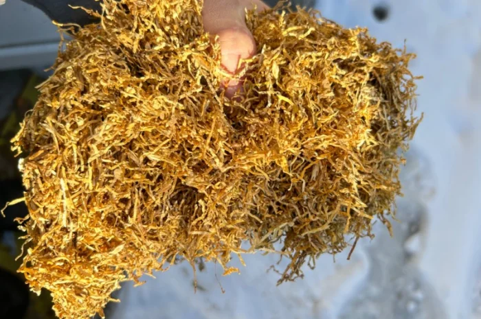 Фабричный табак для самокруток  Прилуки, Винстон, Мальборо 180 грн- фото № 1