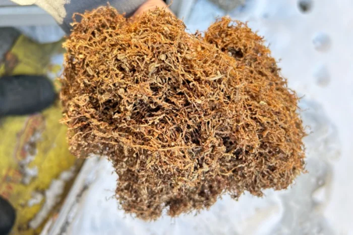 Фабричный табак для самокруток  Прилуки, Винстон, Мальборо 180 грн- фото № 4