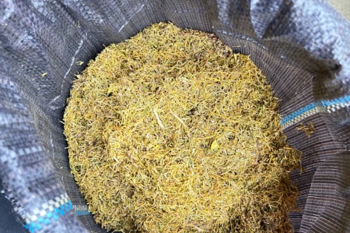 Продаю Фабричный табак Мальборо, Винстон, Кемел, Прилуки, Давидов для самокруток- фото № 6