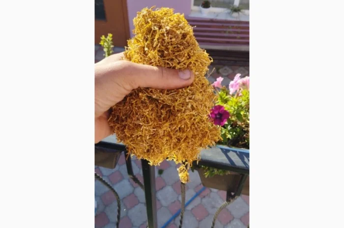 Продаю Фабричный табак Мальборо, Винстон, Кемел, Прилуки, Давидов для самокруток- фото № 1