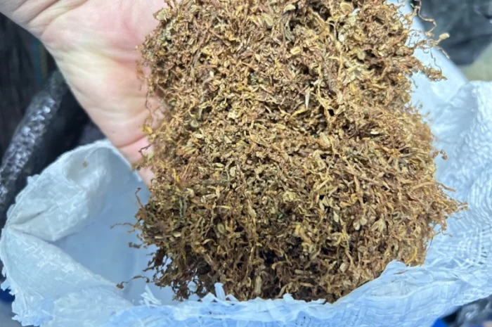 Продаю Фабричный табак Мальборо, Винстон, Кемел, Прилуки, Давидов для самокруток- фото № 2