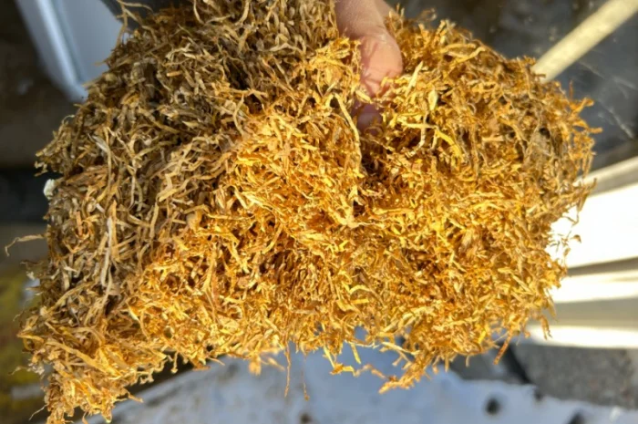 Продам табак для сигарет 1 кг  Вирджиния Голд, Вирджиния (шоколад), Прилуки- фото № 4