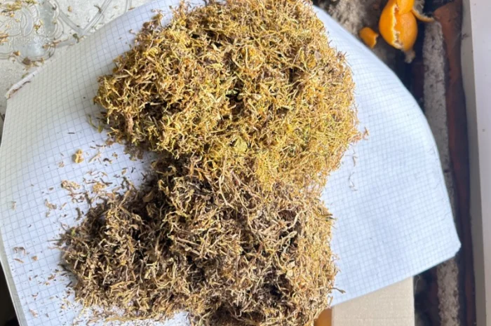 Продам табак для сигарет 1 кг  Вирджиния Голд, Вирджиния (шоколад), Прилуки- фото № 7