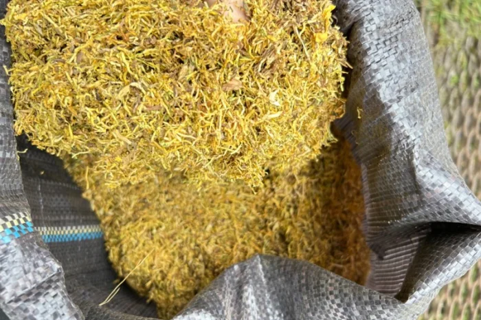 Продам табак оптом імпорт Золоте руно- фото № 1