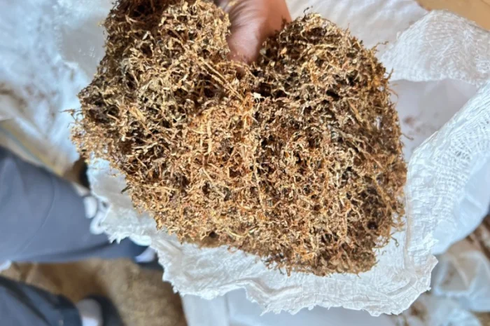 Продам табак оптом імпорт Золоте руно- фото № 3