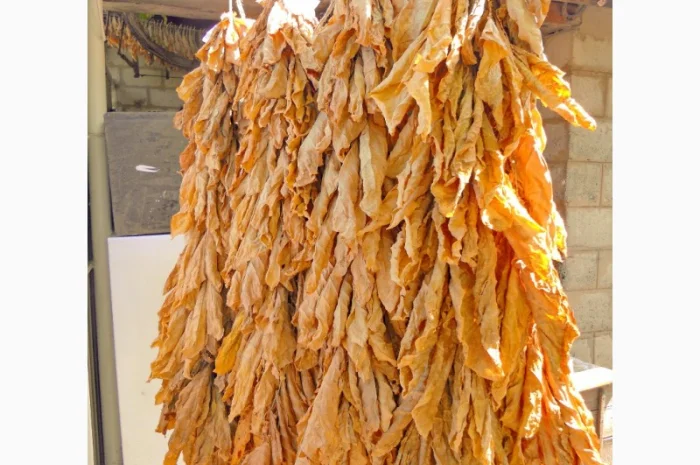 Продам табак Берлей импорт ( Турция ) для самокруток- фото № 1