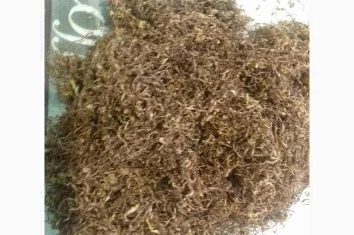 Продам табак Берлей импорт ( Турция ) для самокруток- фото № 4