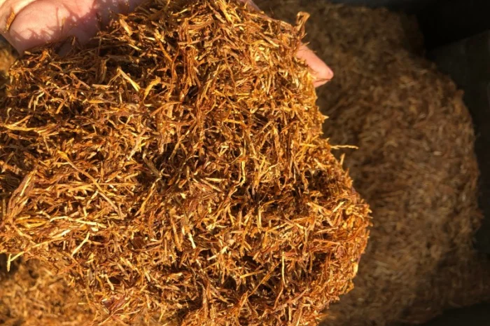 Продам табак Болгарський Вирджиния Голд для сигарет 1 кг- фото № 2