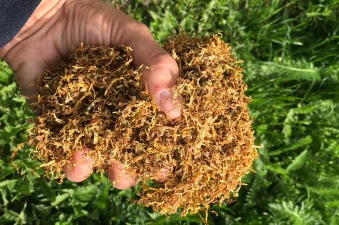 Продам импортный табак для самокруток . Легкий, Средний, Крепкий- фото № 6