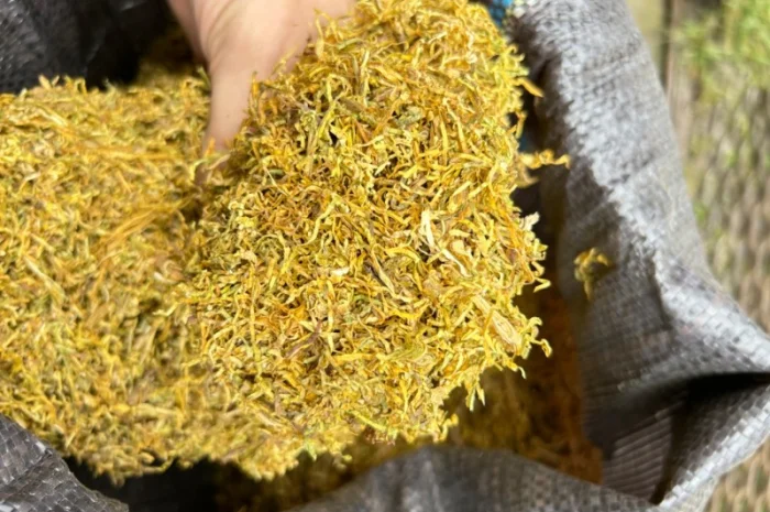 Тютюн оптом «Золоте руно» (імпорт, середня міцність)- фото № 2