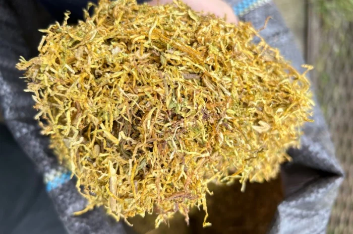 Тютюн оптом «Золоте руно» (імпорт, середня міцність)- фото № 3