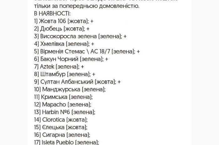 НАСІННЯ махорки / МАХОРКА насіння (50 грам)- фото № 6