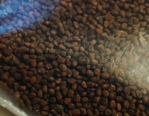 НАСІННЯ махорки / МАХОРКА насіння (100 грам)- фото № 2