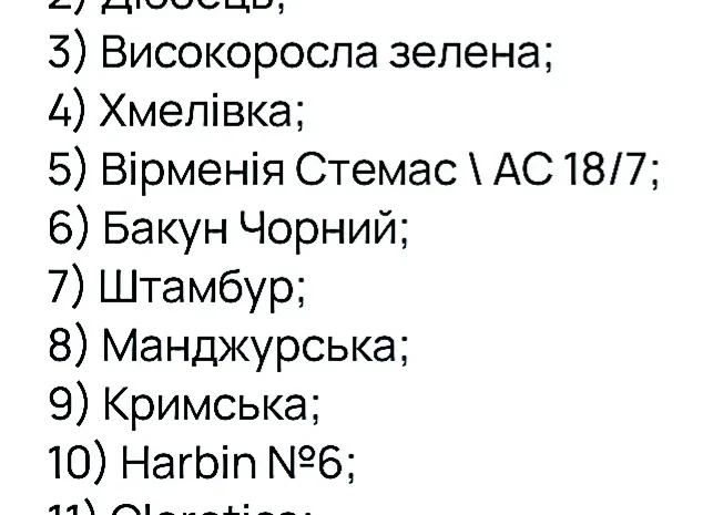 НАСІННЯ махорки / МАХОРКА насіння (100 грам)- фото № 3