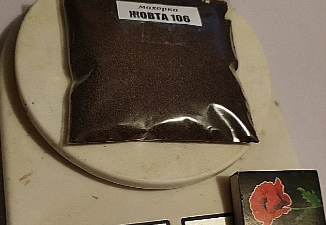 НАСІННЯ махорки / МАХОРКА насіння (100 грам)- фото № 4