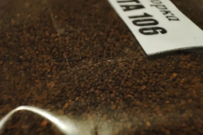 НАСІННЯ махорки / МАХОРКА насіння (50 грам)- фото № 3